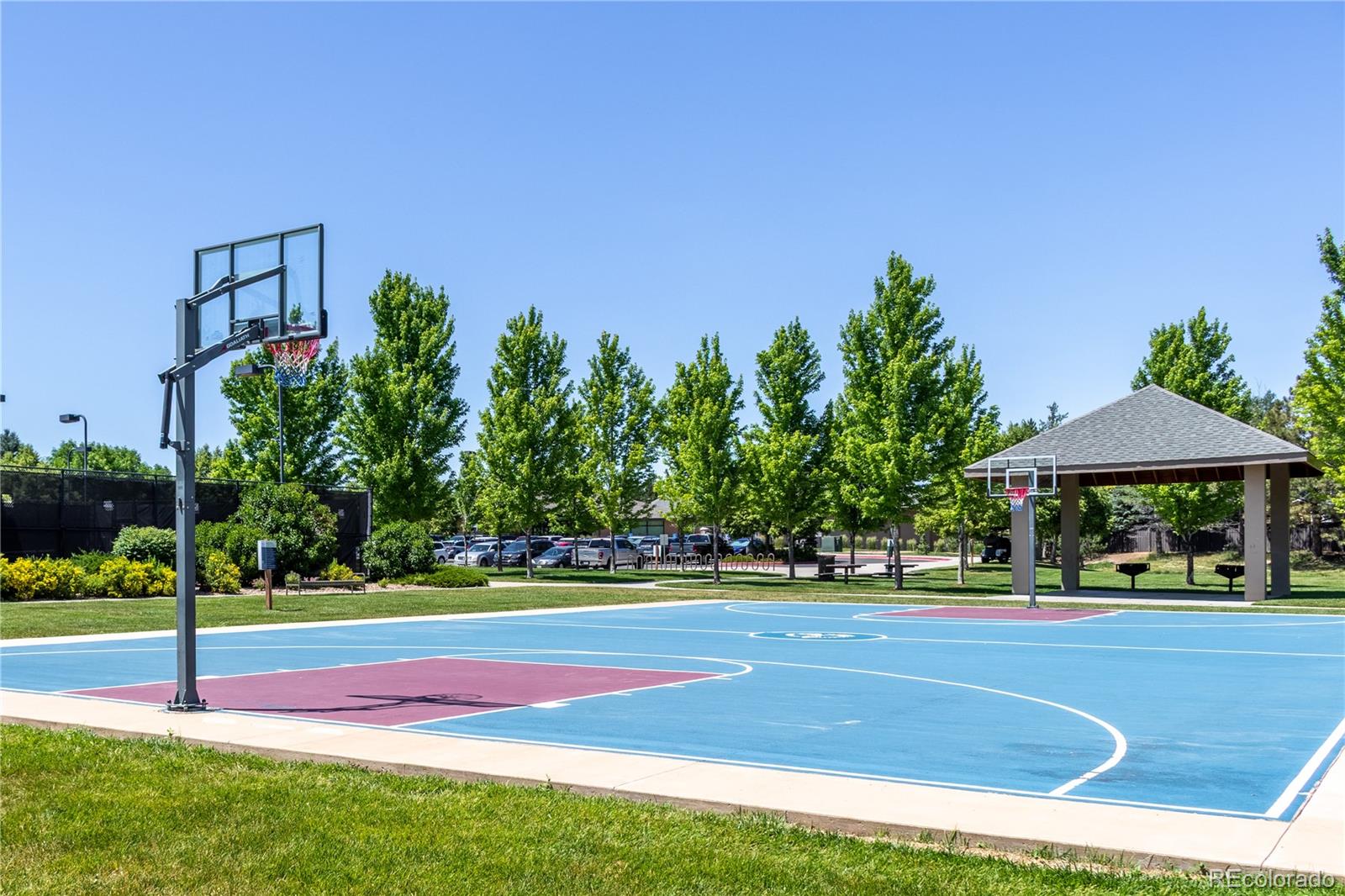 MLS Image #44 for 9898  tourmaline court,parker, Colorado