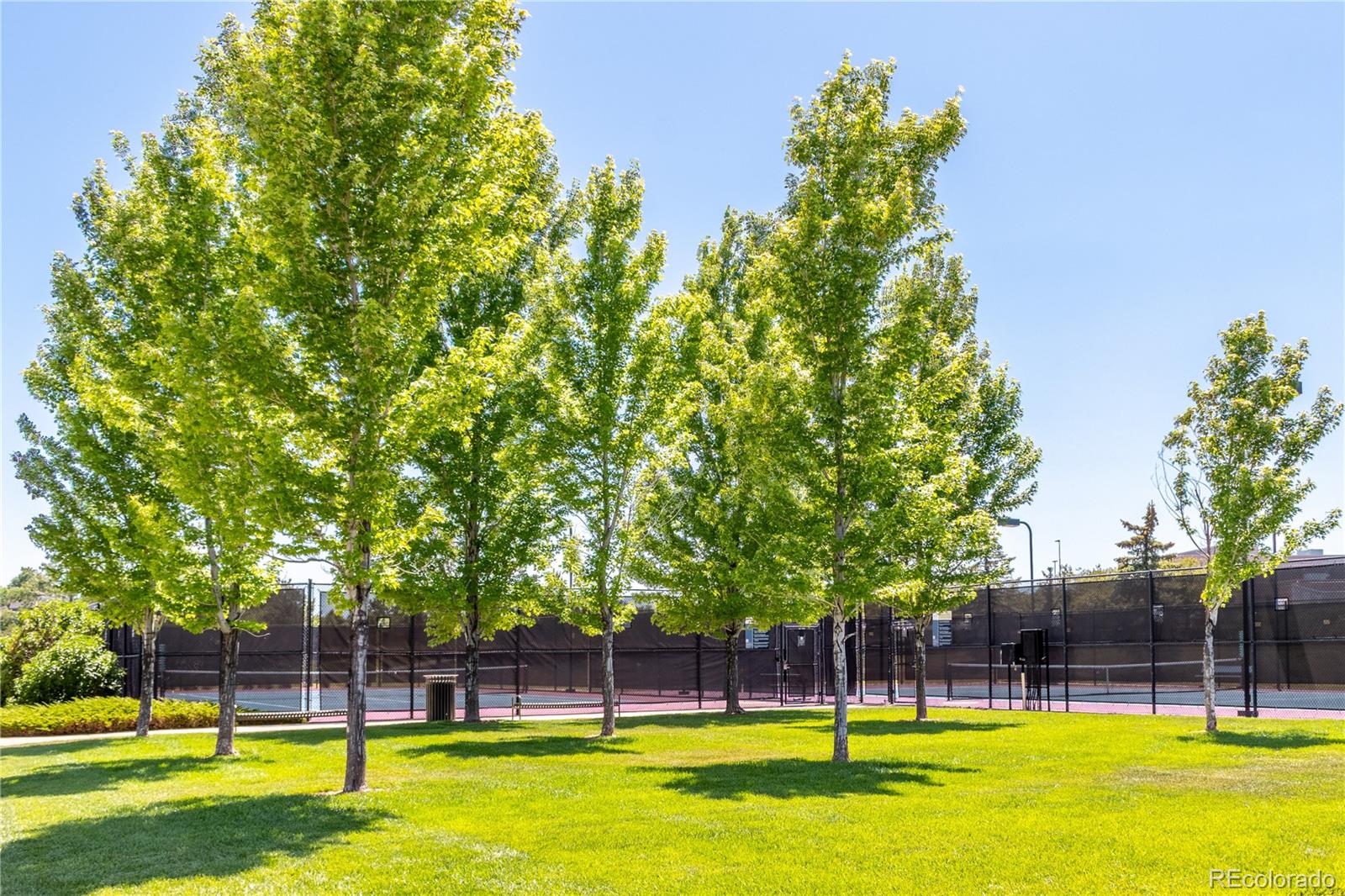 MLS Image #45 for 9898  tourmaline court,parker, Colorado