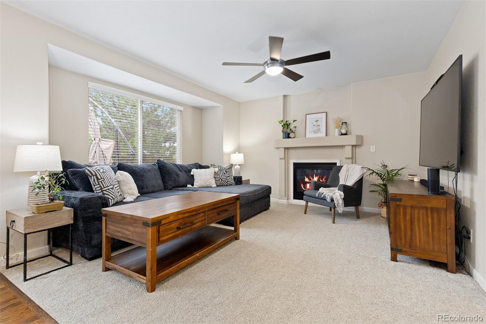 MLS Image #13 for 2763  dharma avenue,broomfield, Colorado