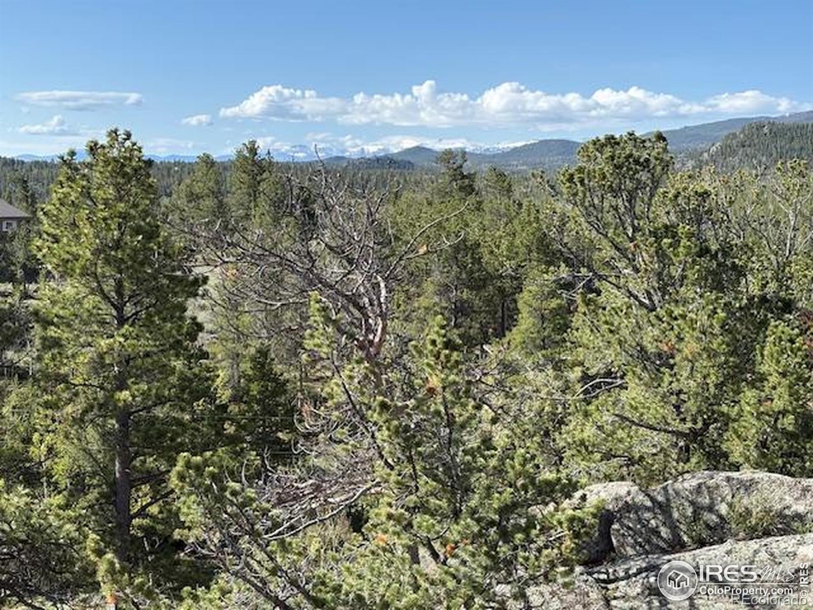 MLS Image #23 for 988  nowata drive,red feather lakes, Colorado