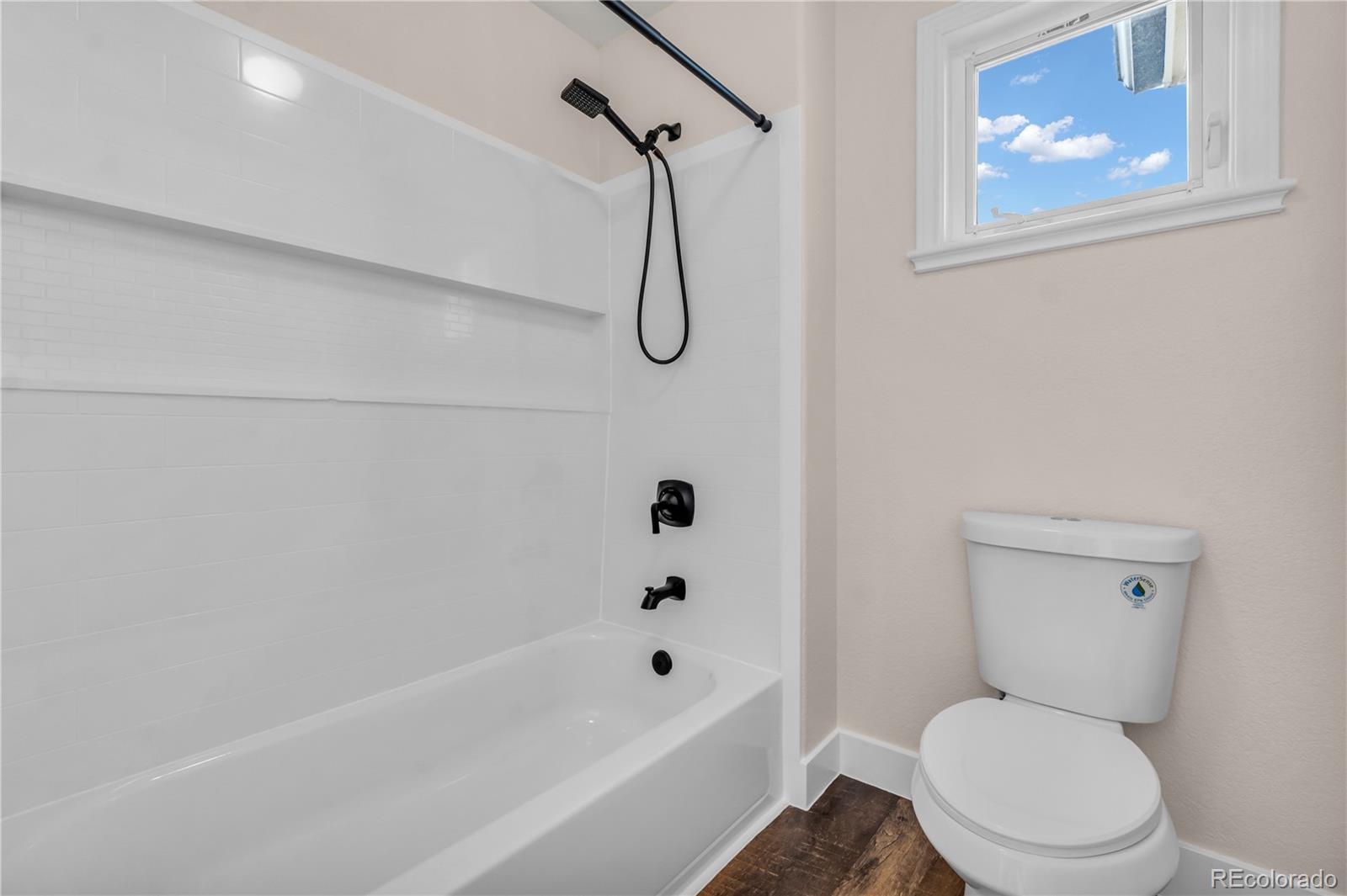 MLS Image #17 for 154  falcon circle,mead, Colorado