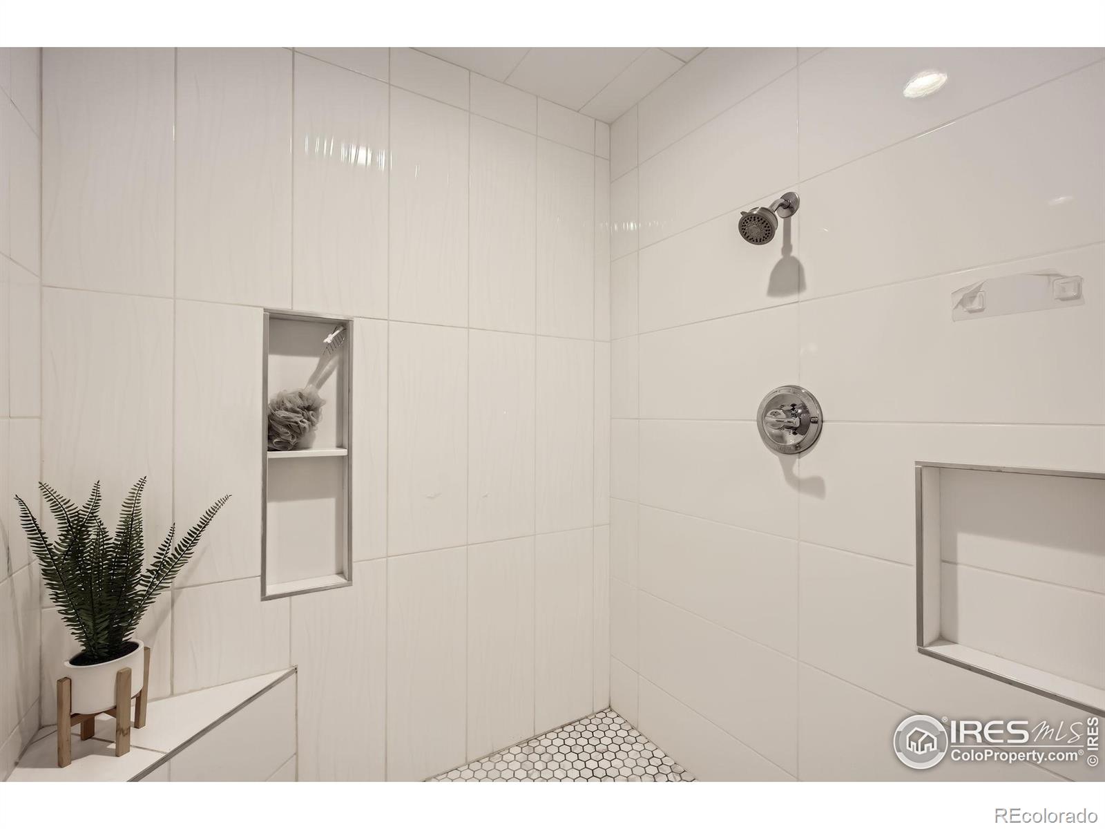 MLS Image #11 for 1510  22nd avenue,longmont, Colorado