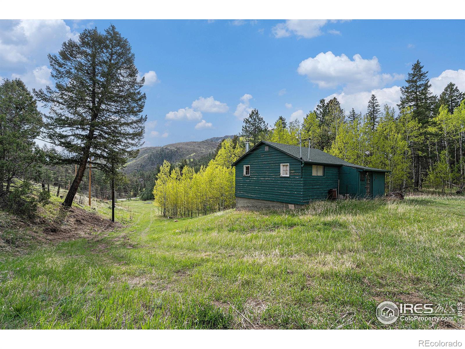 MLS Image #1 for 5959  stove prairie road,bellvue, Colorado