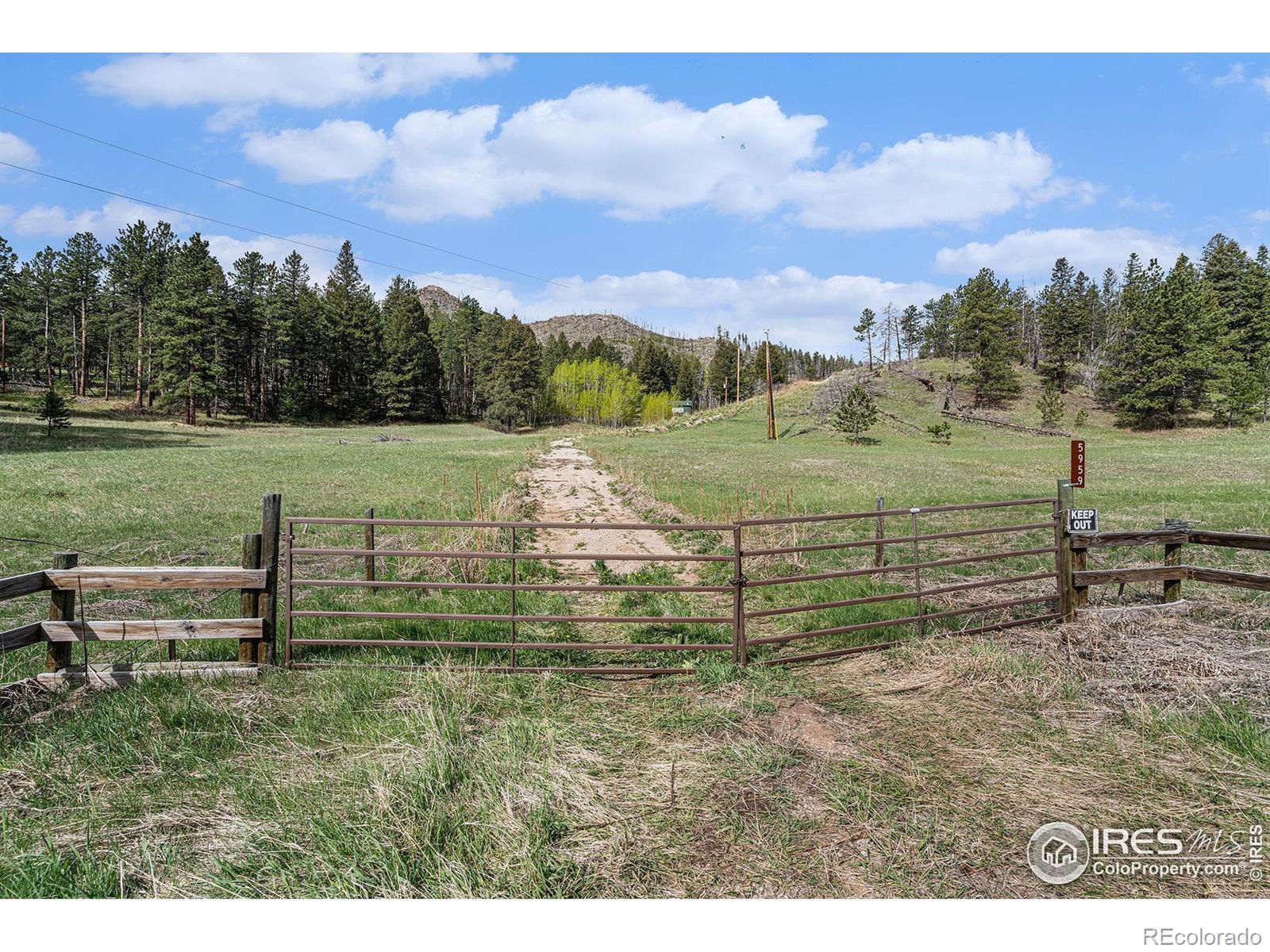 MLS Image #12 for 5959  stove prairie road,bellvue, Colorado