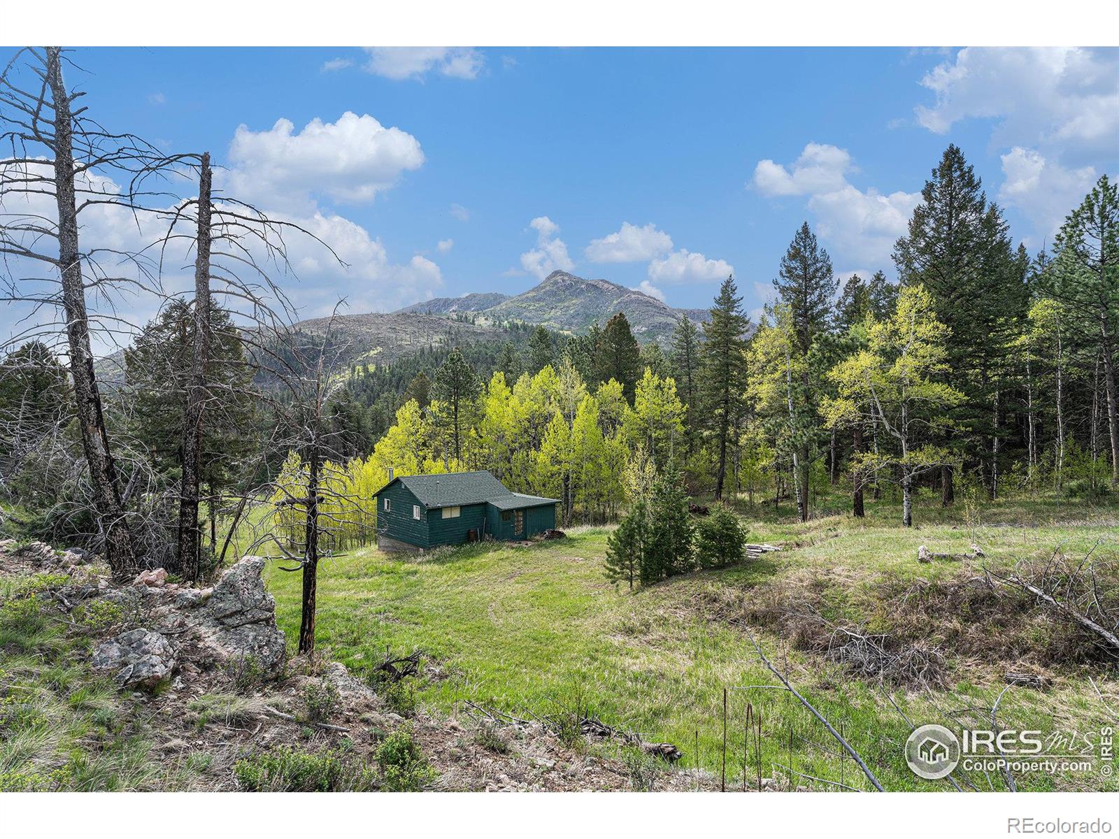 MLS Image #2 for 5959  stove prairie road,bellvue, Colorado