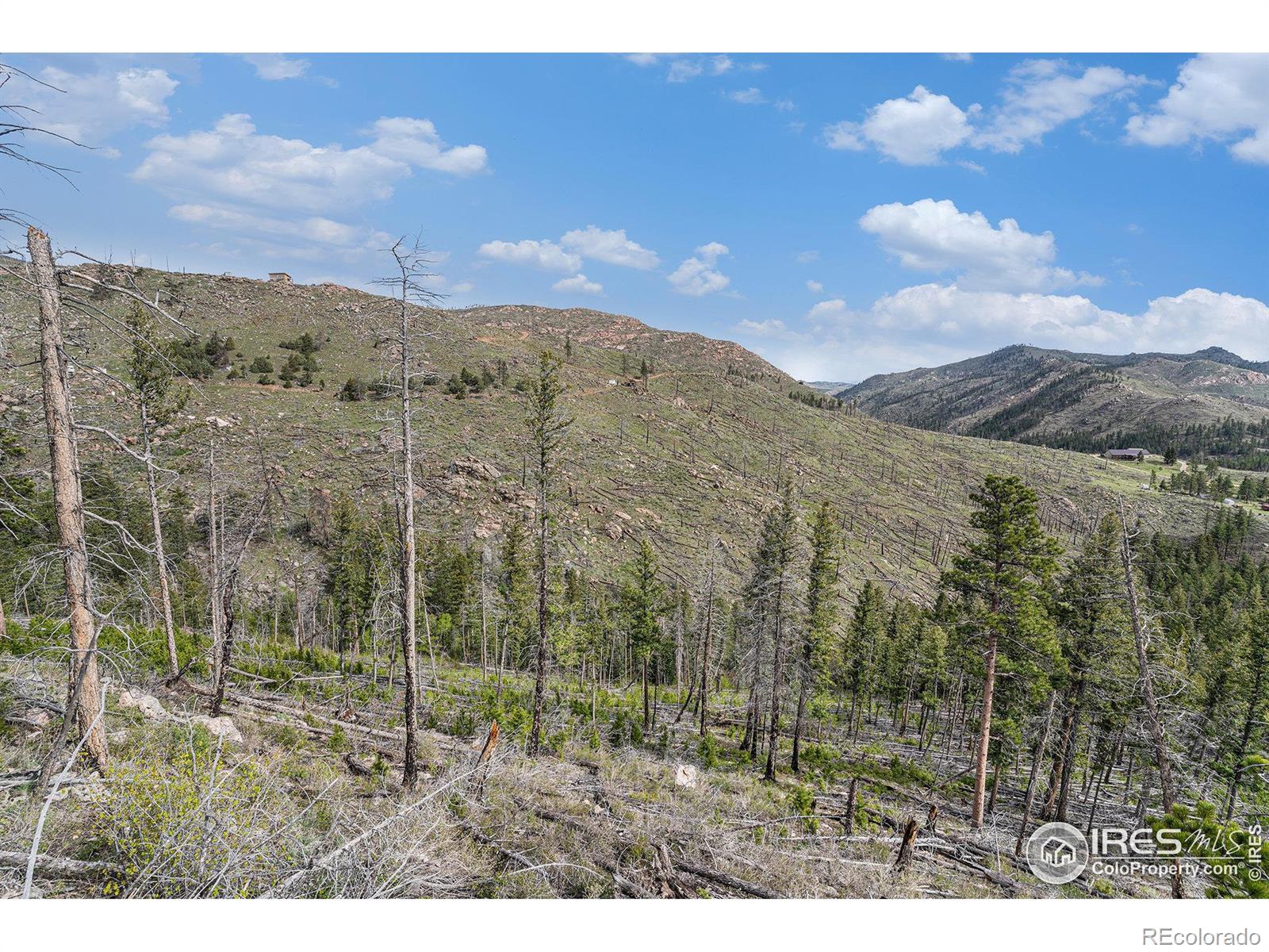 MLS Image #24 for 5959  stove prairie road,bellvue, Colorado