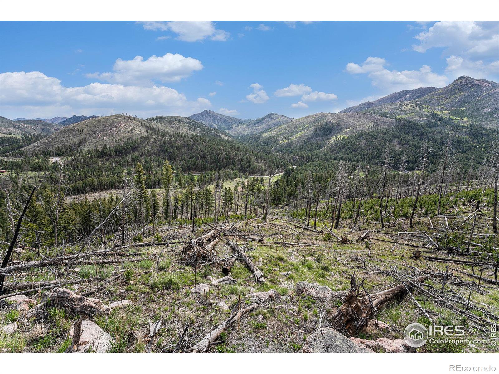 MLS Image #25 for 5959  stove prairie road,bellvue, Colorado