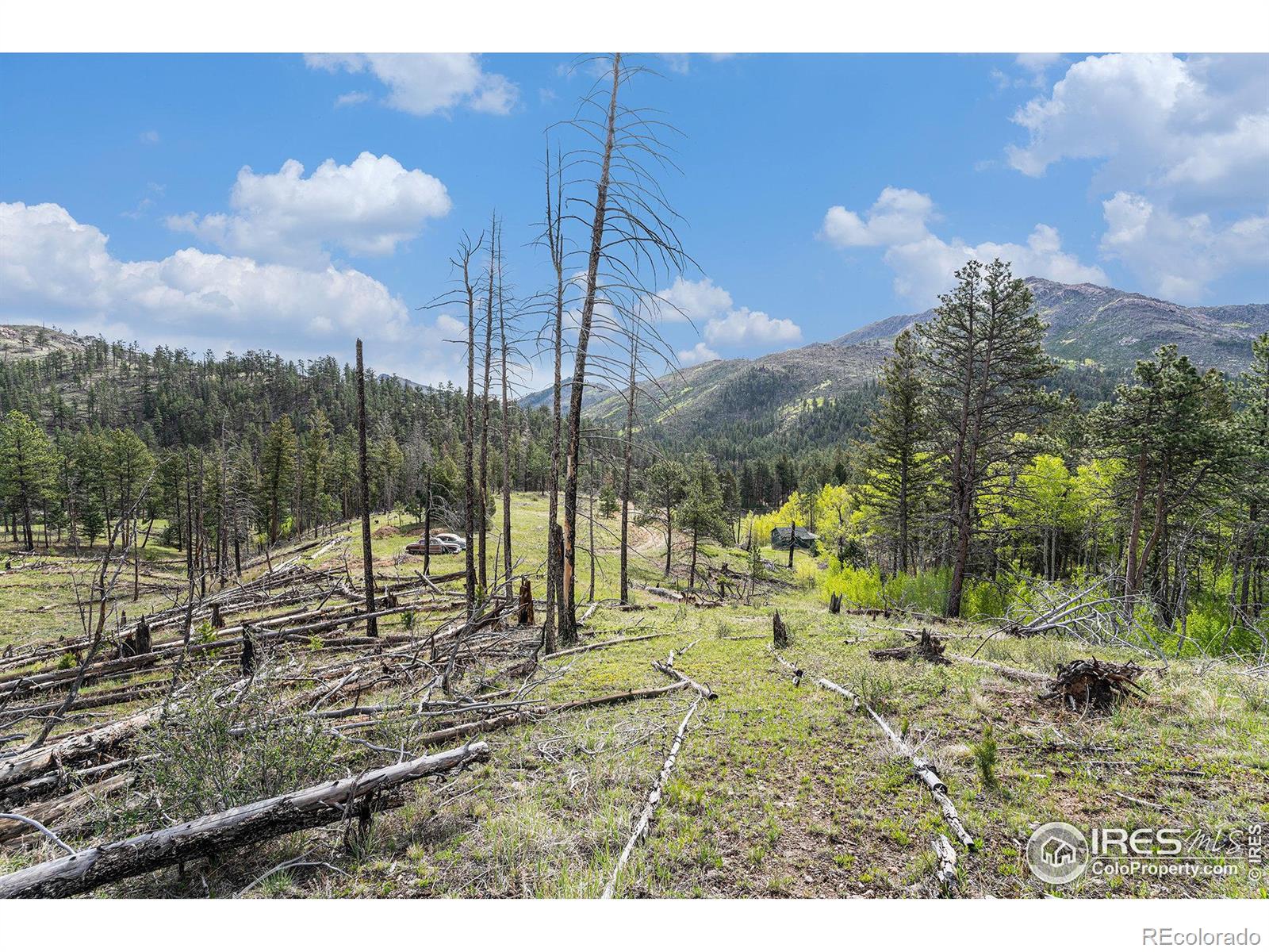 MLS Image #26 for 5959  stove prairie road,bellvue, Colorado