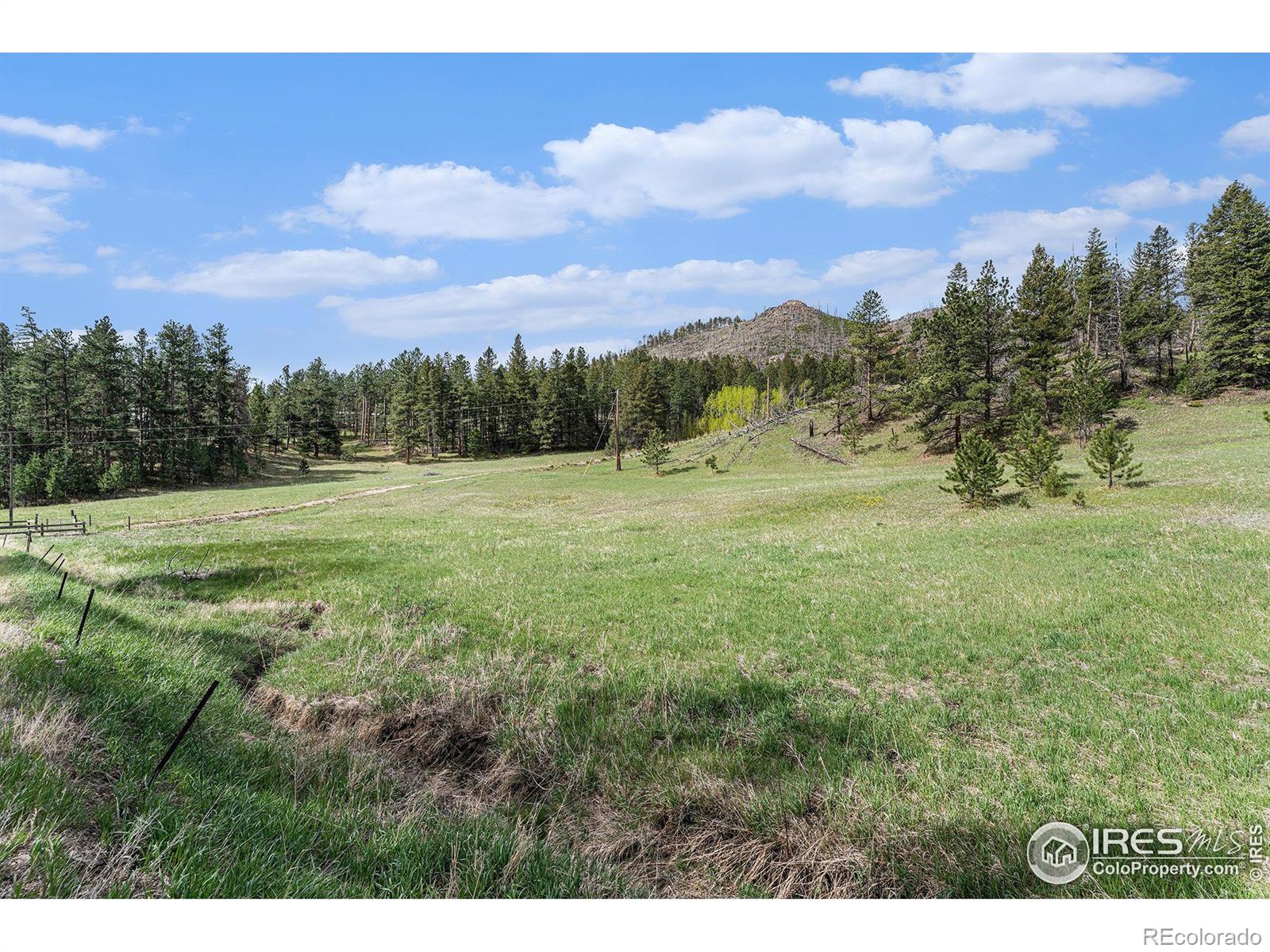 MLS Image #27 for 5959  stove prairie road,bellvue, Colorado