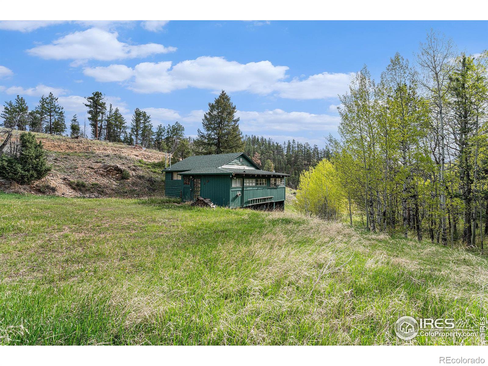 MLS Image #3 for 5959  stove prairie road,bellvue, Colorado