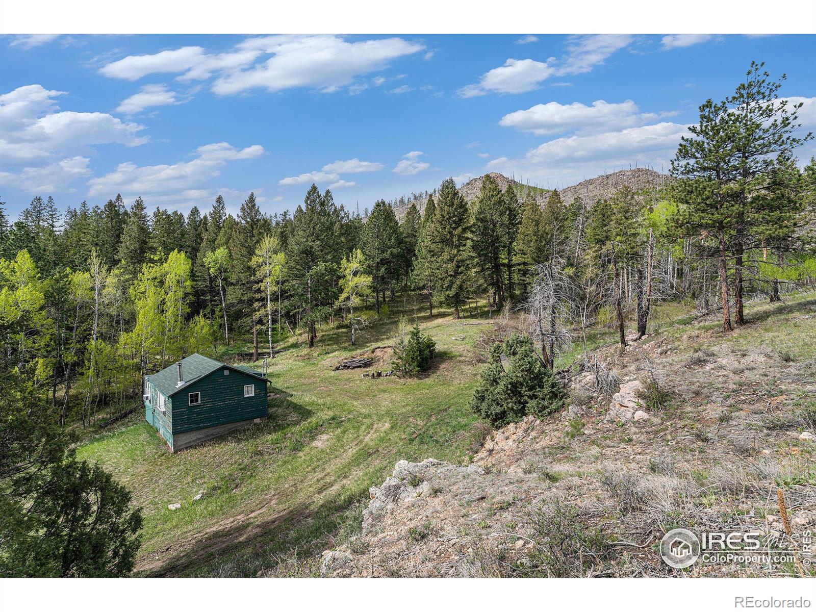 MLS Image #4 for 5959  stove prairie road,bellvue, Colorado