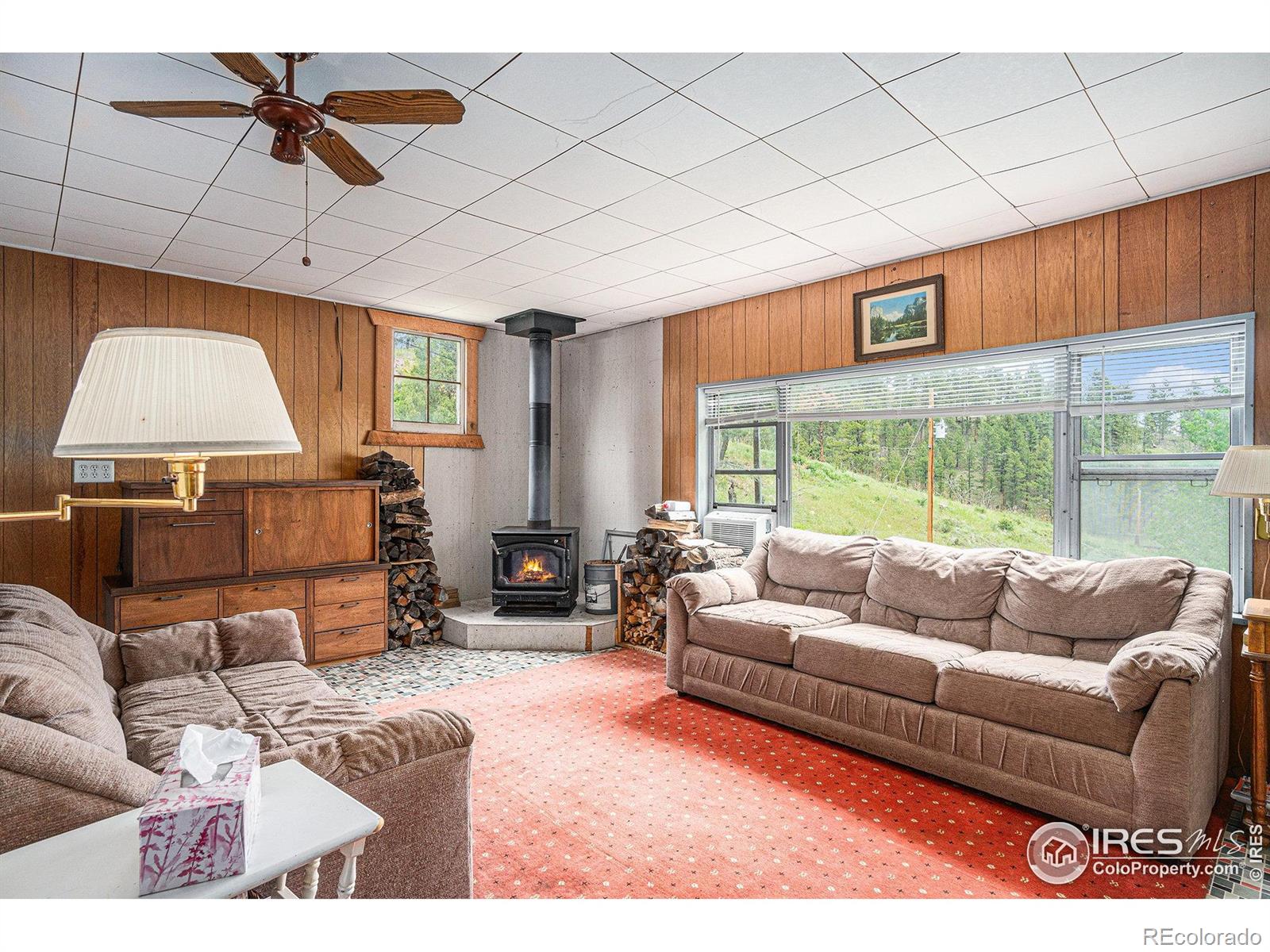 MLS Image #7 for 5959  stove prairie road,bellvue, Colorado