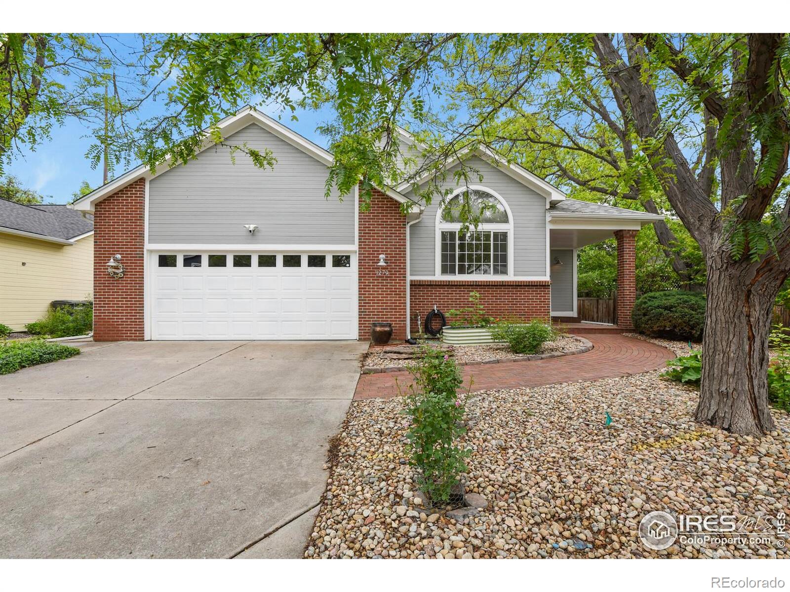 MLS Image #5 for 1279  cressida court,lafayette, Colorado