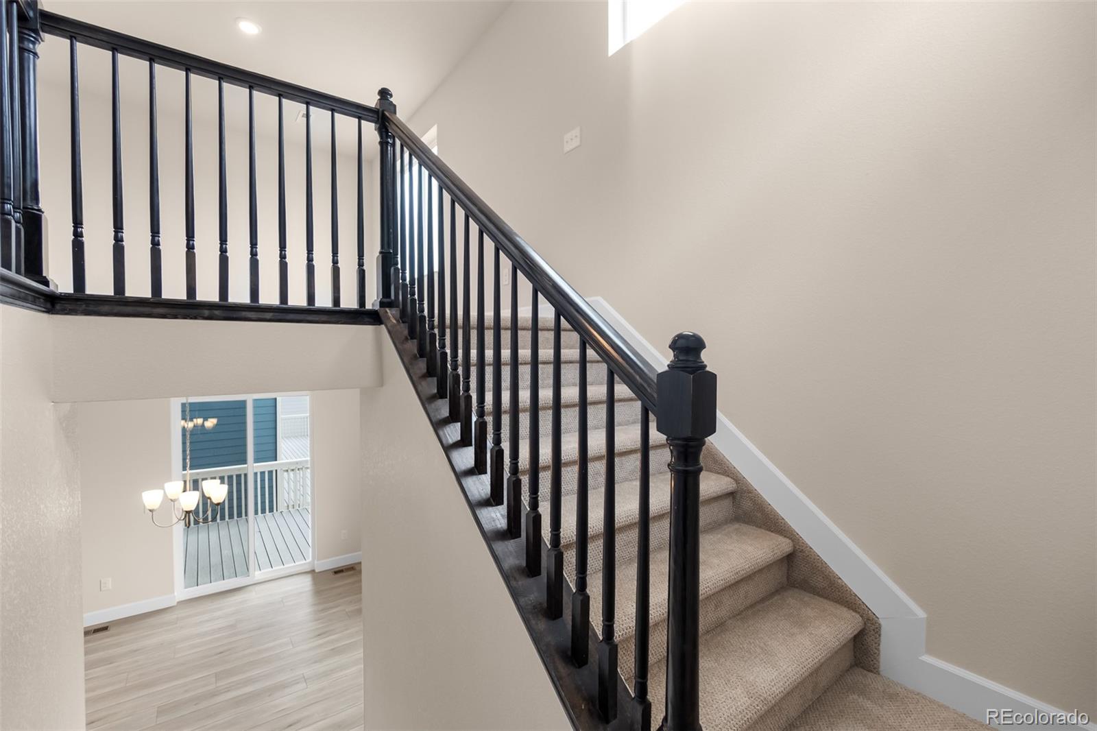 MLS Image #14 for 4543  cholla trail,castle rock, Colorado