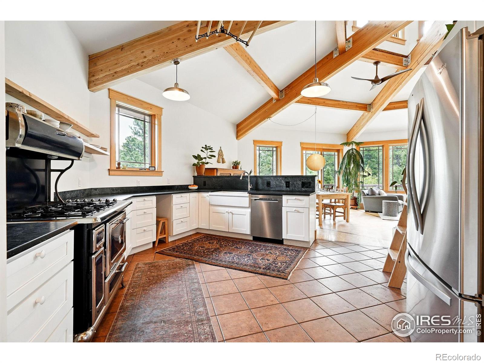 MLS Image #10 for 3915  james canyon drive,jamestown, Colorado