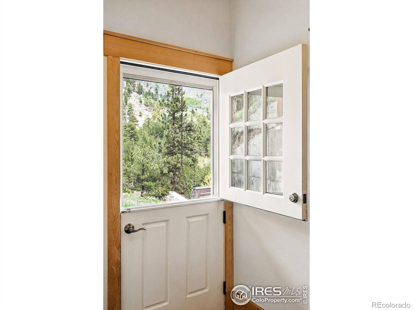 MLS Image #5 for 3915  james canyon drive,jamestown, Colorado