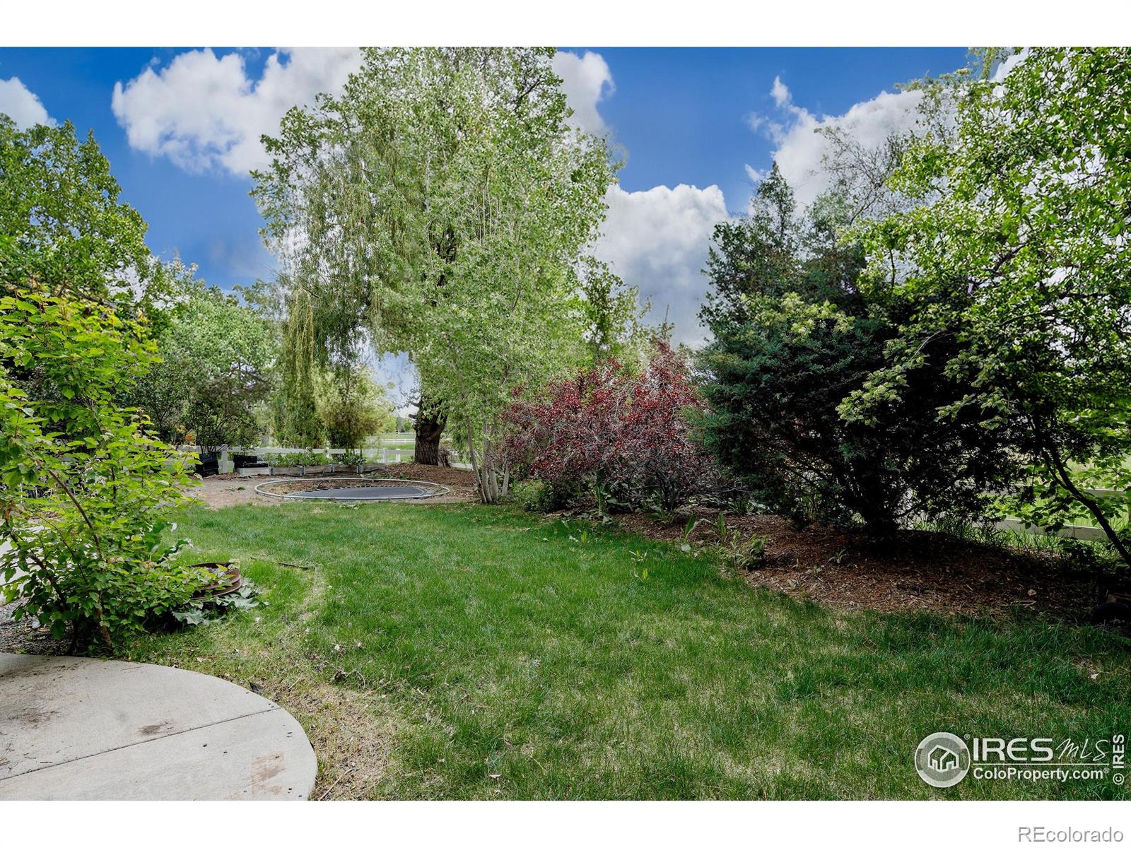 MLS Image #37 for 6164  clearwater drive,loveland, Colorado