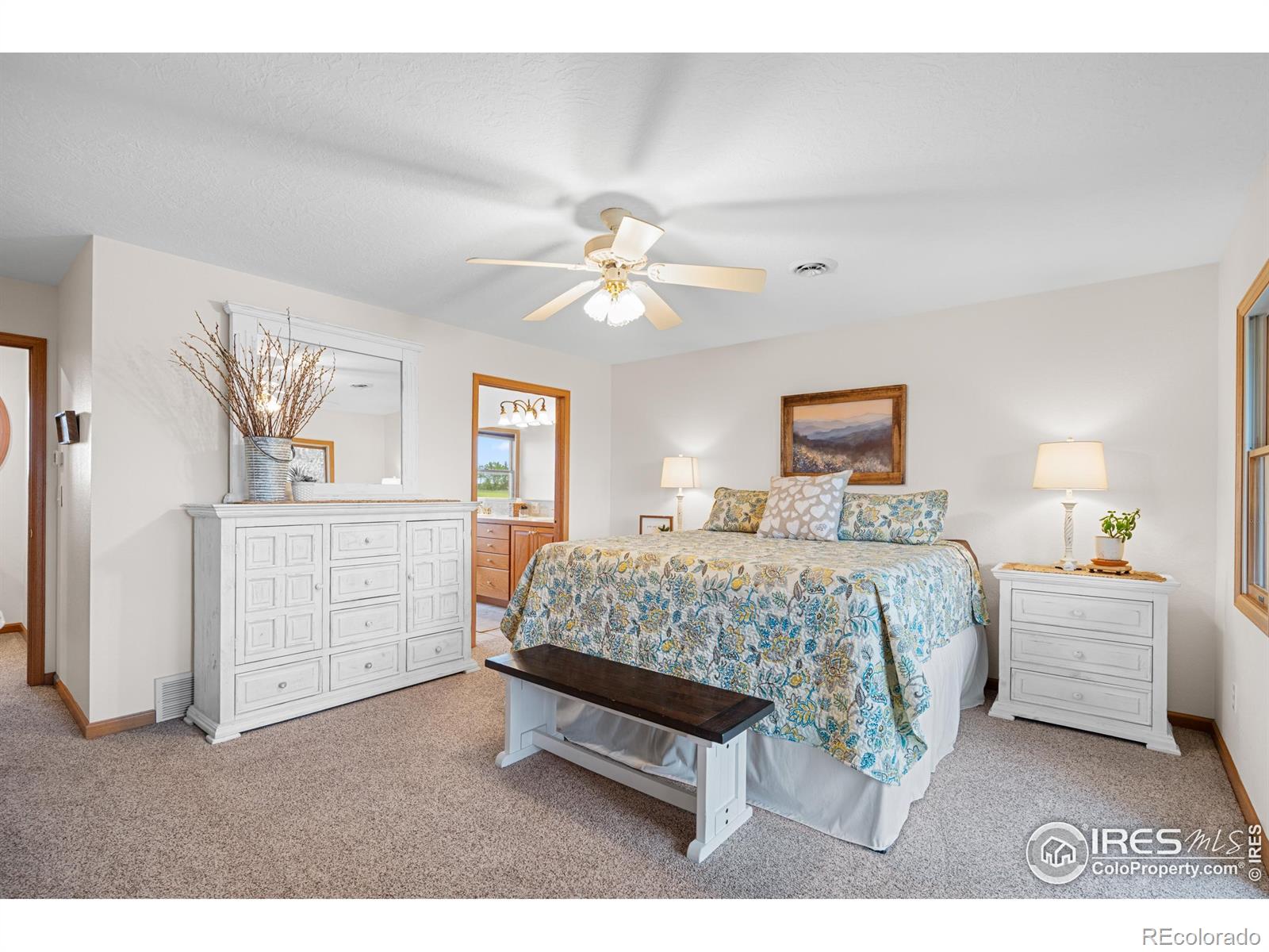MLS Image #23 for 36091  appy road,eaton, Colorado