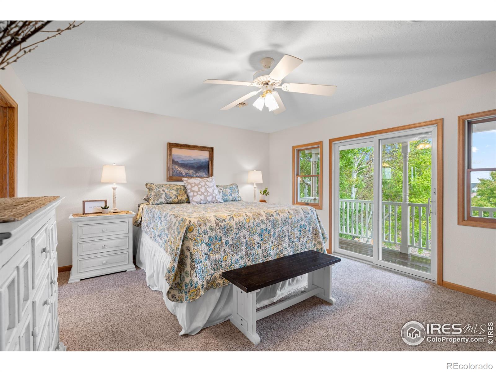 MLS Image #24 for 36091  appy road,eaton, Colorado