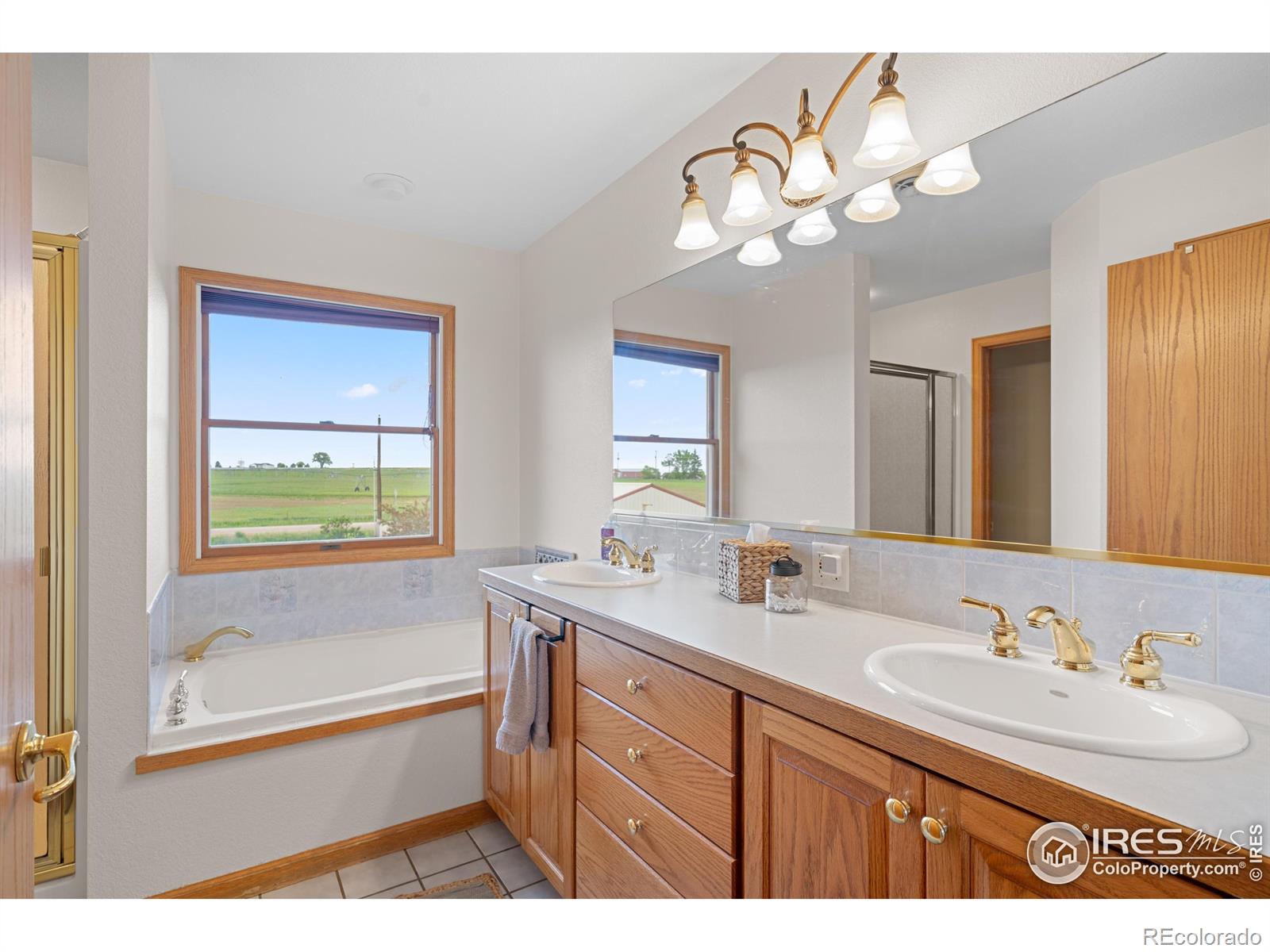 MLS Image #27 for 36091  appy road,eaton, Colorado