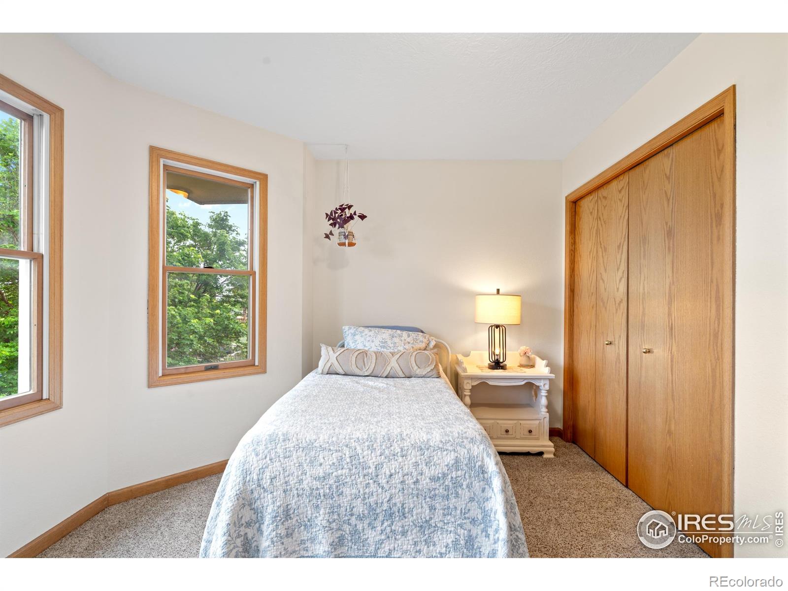 MLS Image #28 for 36091  appy road,eaton, Colorado