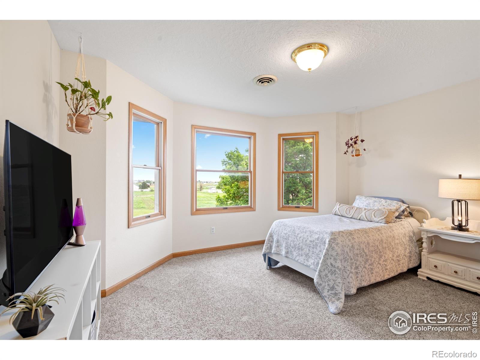 MLS Image #29 for 36091  appy road,eaton, Colorado