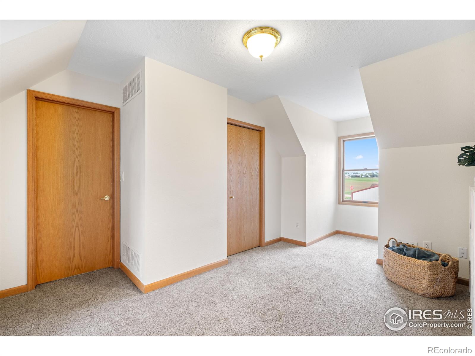 MLS Image #33 for 36091  appy road,eaton, Colorado