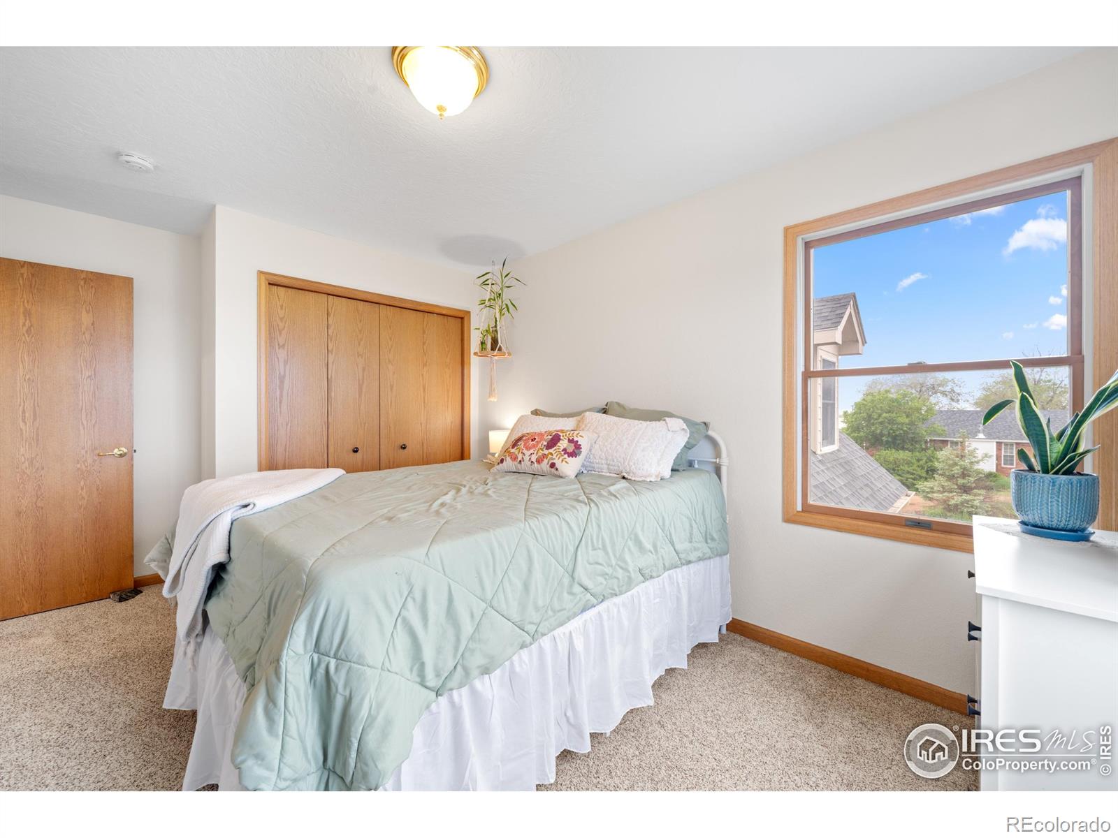 MLS Image #35 for 36091  appy road,eaton, Colorado