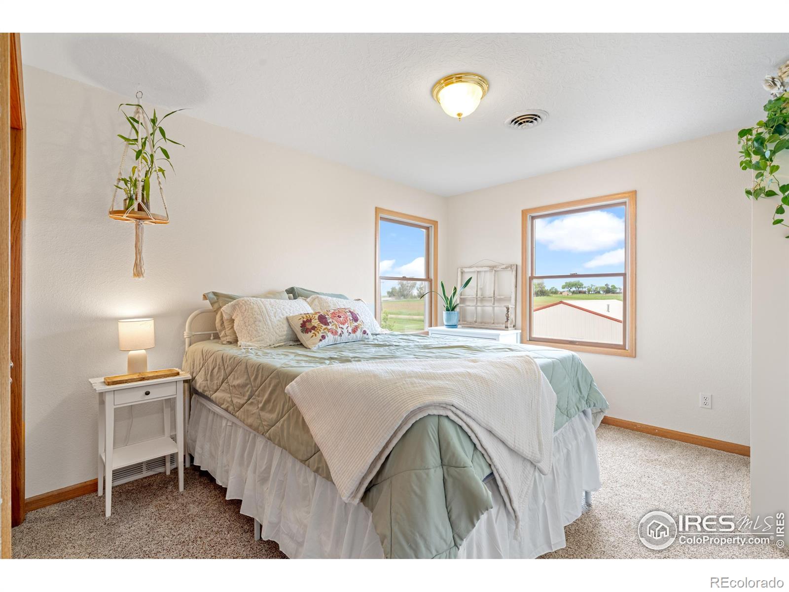 MLS Image #36 for 36091  appy road,eaton, Colorado