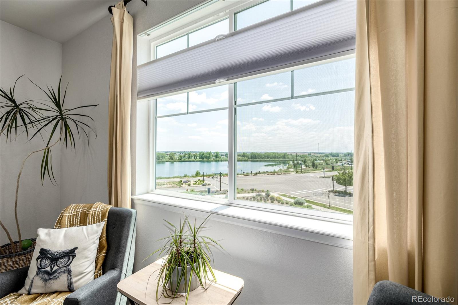 MLS Image #23 for 12513  shore point street,firestone, Colorado