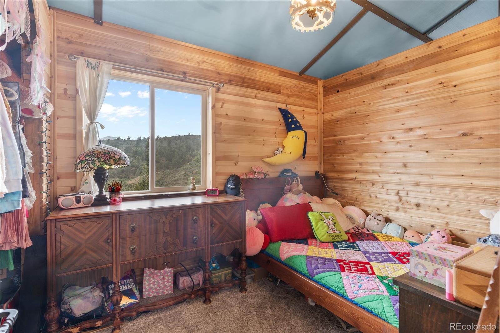 MLS Image #13 for 145  us-160 ,fort garland, Colorado