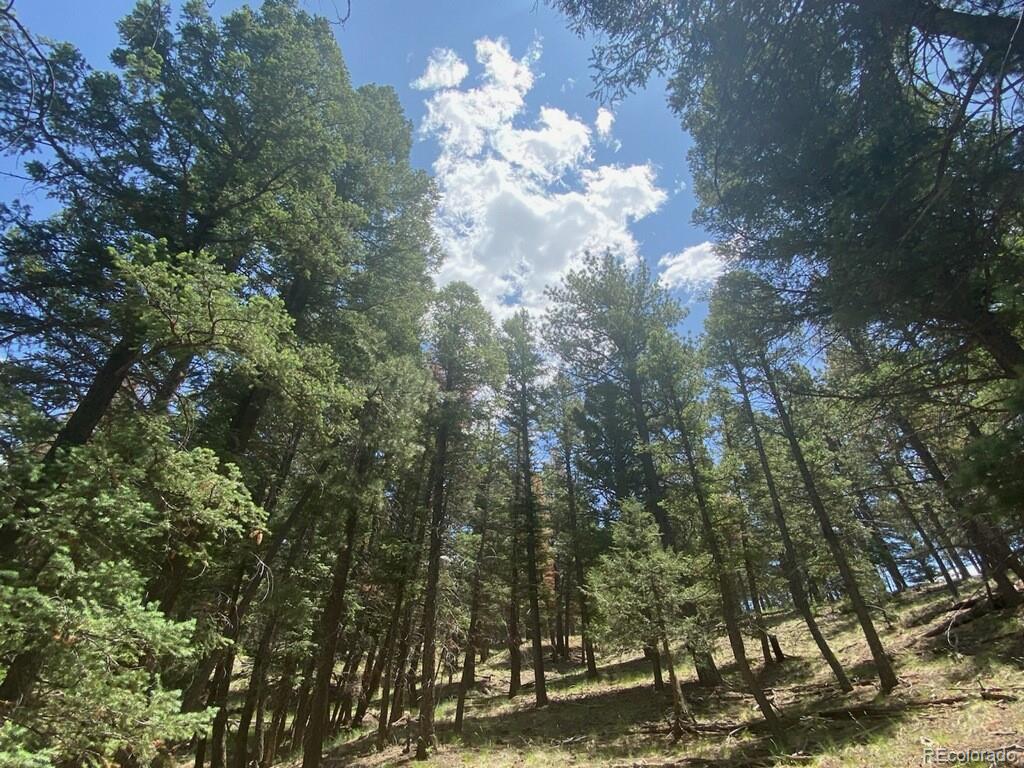 MLS Image #24 for 145  us-160 ,fort garland, Colorado