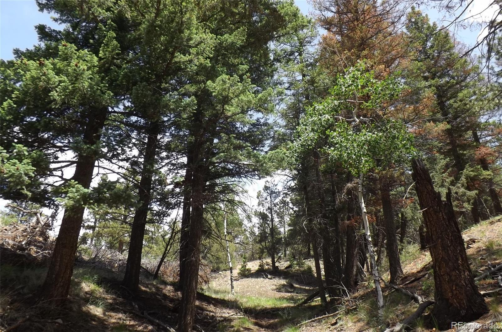 MLS Image #27 for 145  us-160 ,fort garland, Colorado