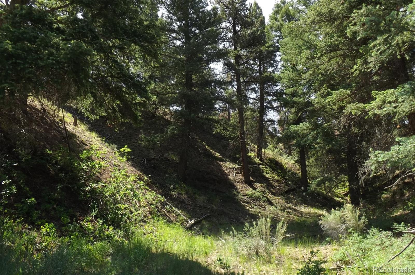 MLS Image #29 for 145  us-160 ,fort garland, Colorado