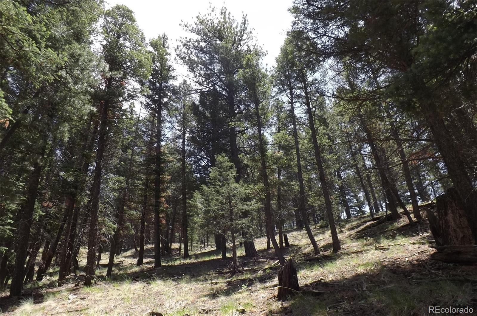 MLS Image #30 for 145  us-160 ,fort garland, Colorado
