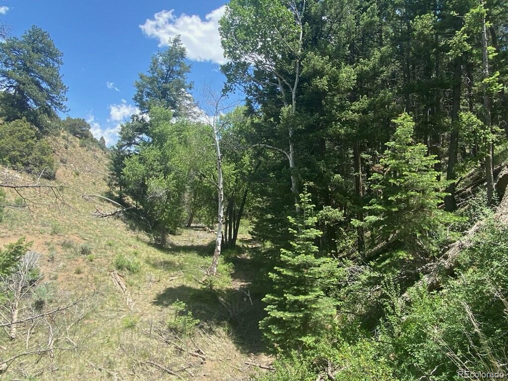 MLS Image #34 for 145  us-160 ,fort garland, Colorado