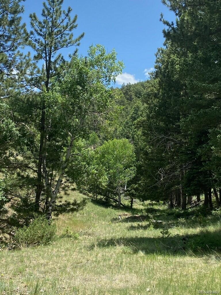 MLS Image #35 for 145  us-160 ,fort garland, Colorado