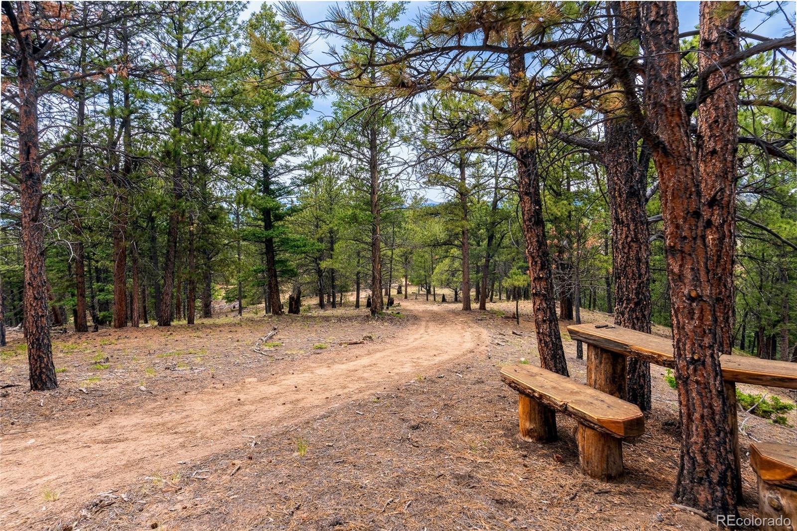 MLS Image #37 for 145  us-160 ,fort garland, Colorado