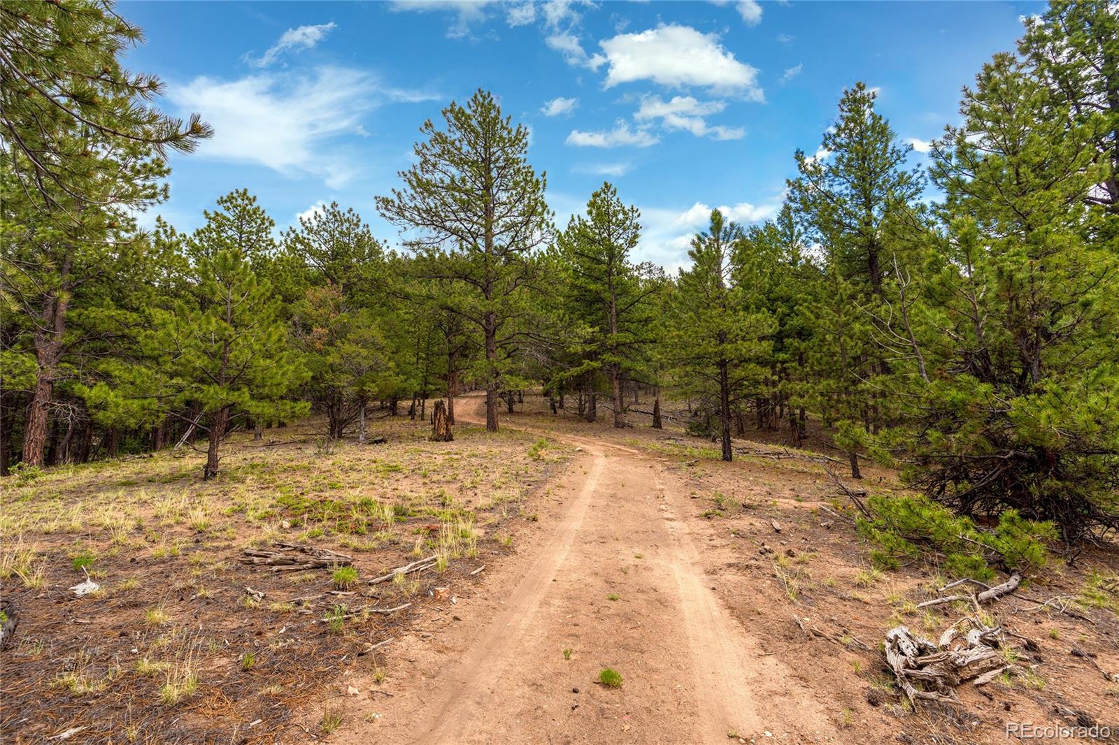MLS Image #38 for 145  us-160 ,fort garland, Colorado