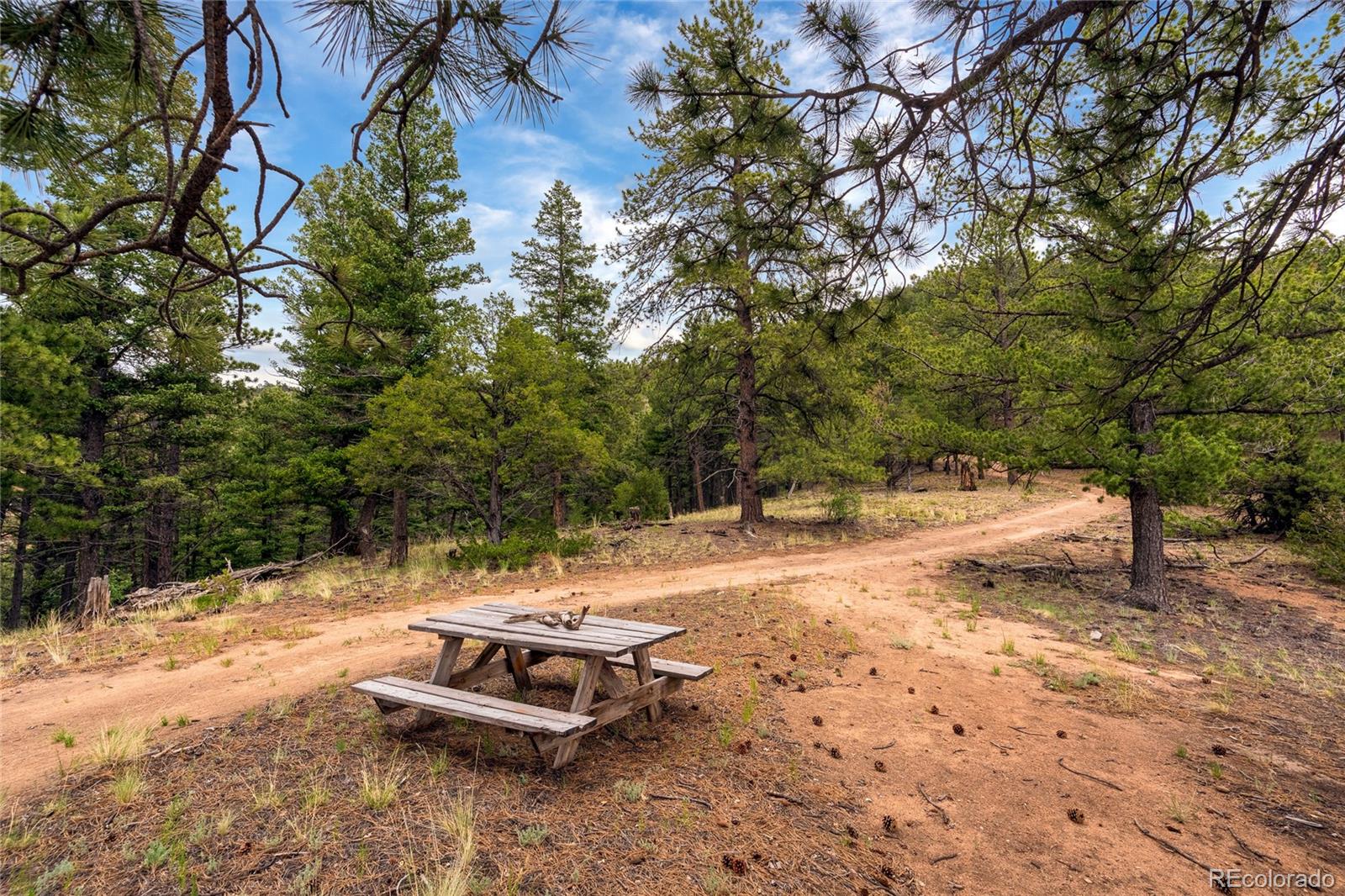 MLS Image #39 for 145  us-160 ,fort garland, Colorado