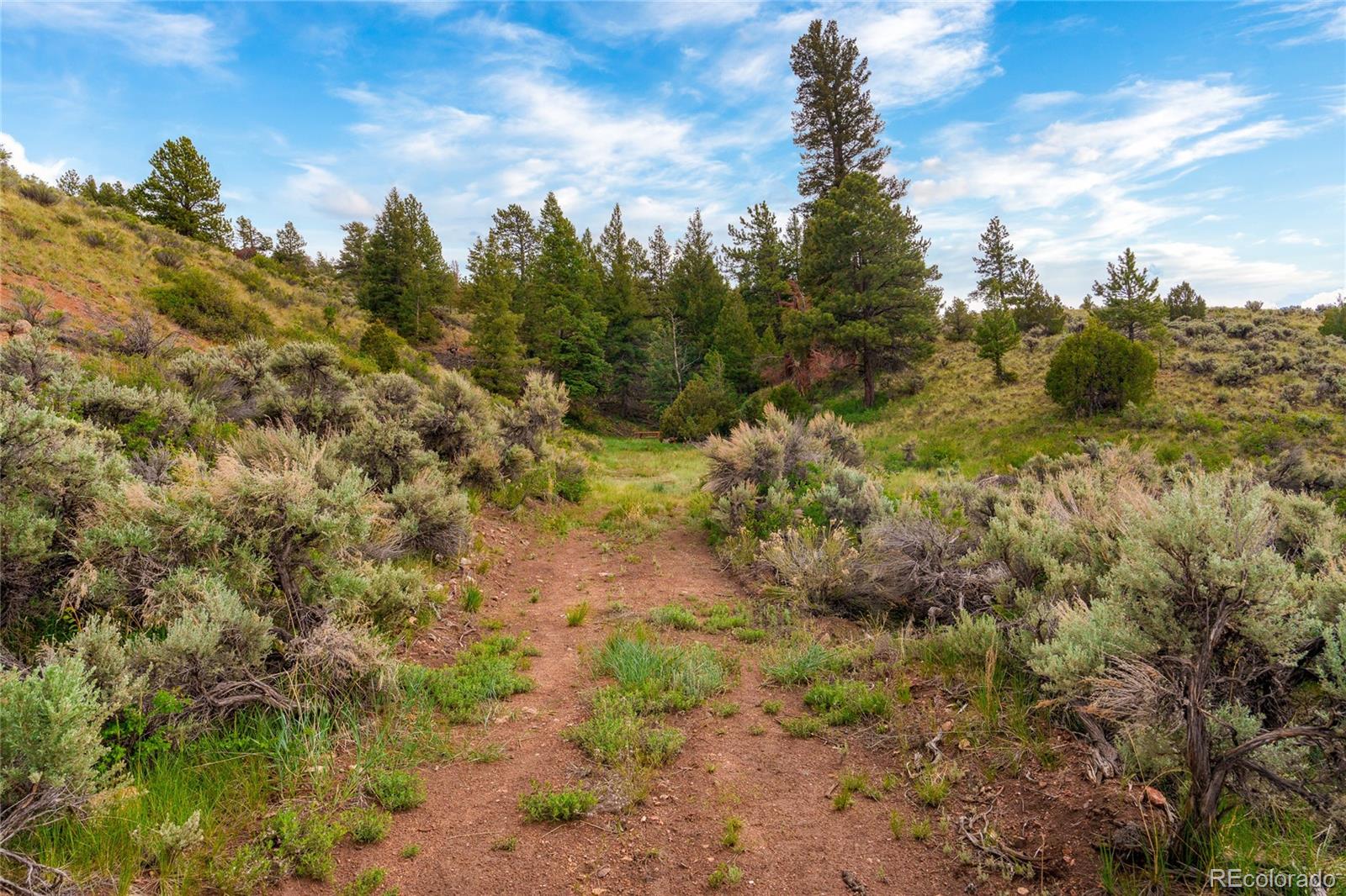 MLS Image #42 for 145  us-160 ,fort garland, Colorado