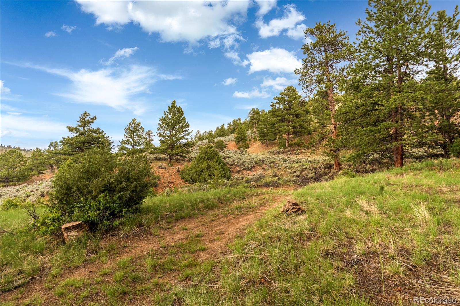 MLS Image #44 for 145  us-160 ,fort garland, Colorado