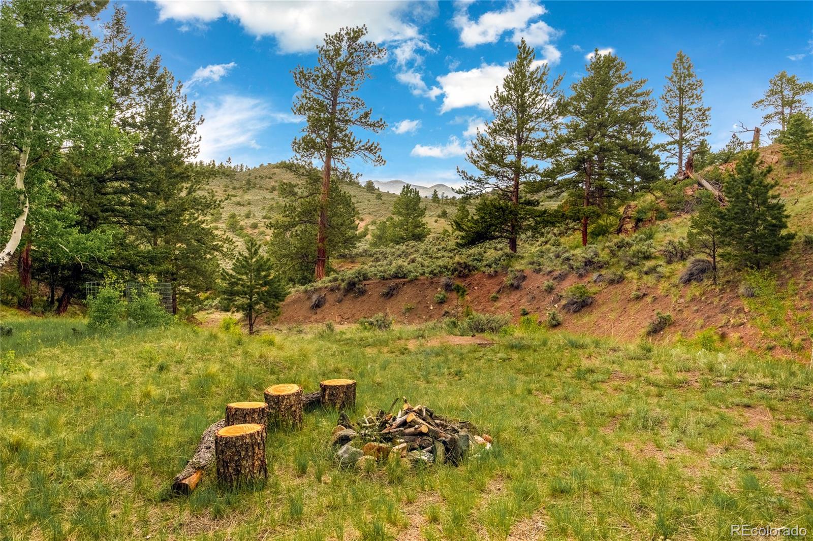 MLS Image #45 for 145  us-160 ,fort garland, Colorado