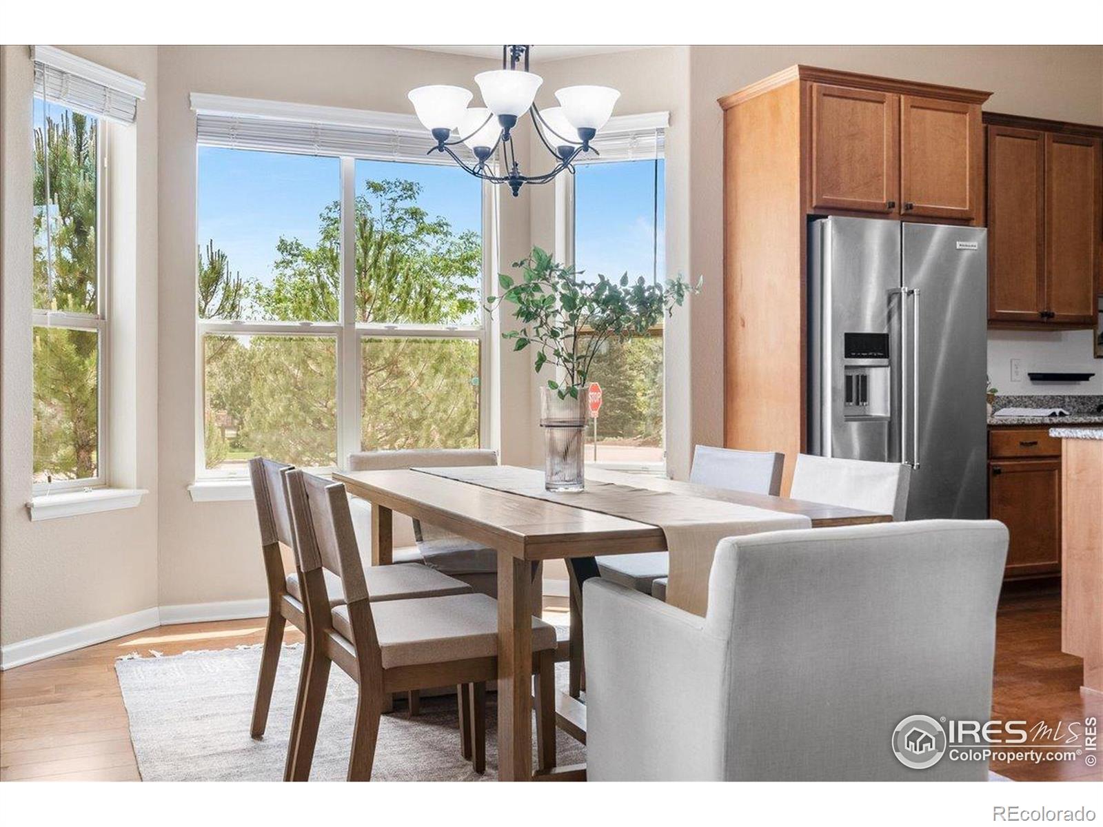 MLS Image #12 for 3050  zephyr road,fort collins, Colorado