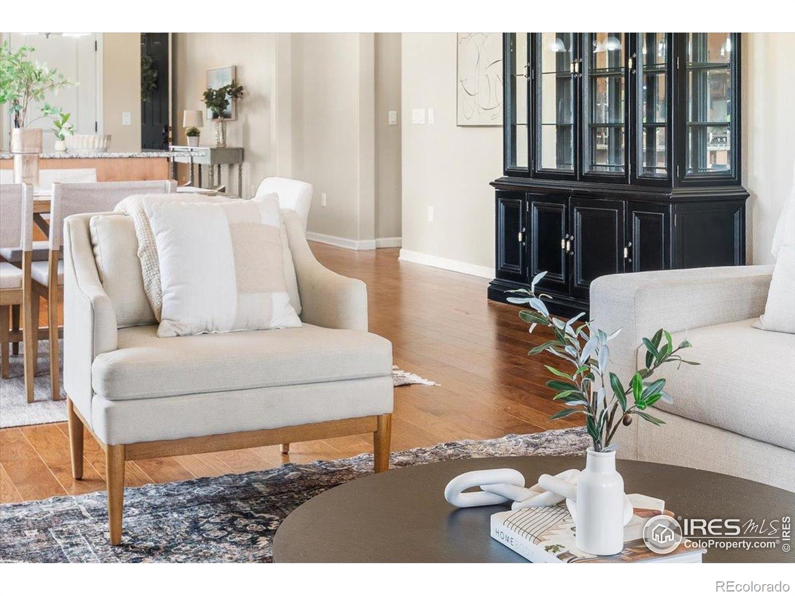 MLS Image #16 for 3050  zephyr road,fort collins, Colorado