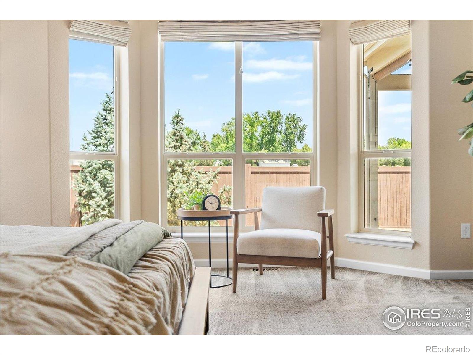 MLS Image #21 for 3050  zephyr road,fort collins, Colorado