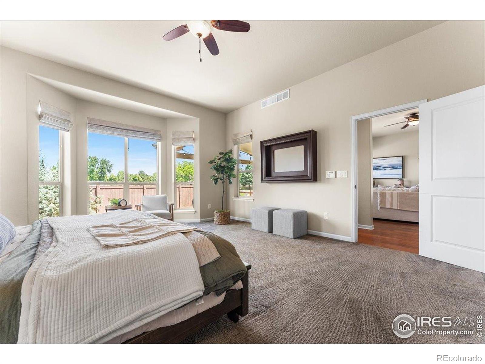 MLS Image #22 for 3050  zephyr road,fort collins, Colorado