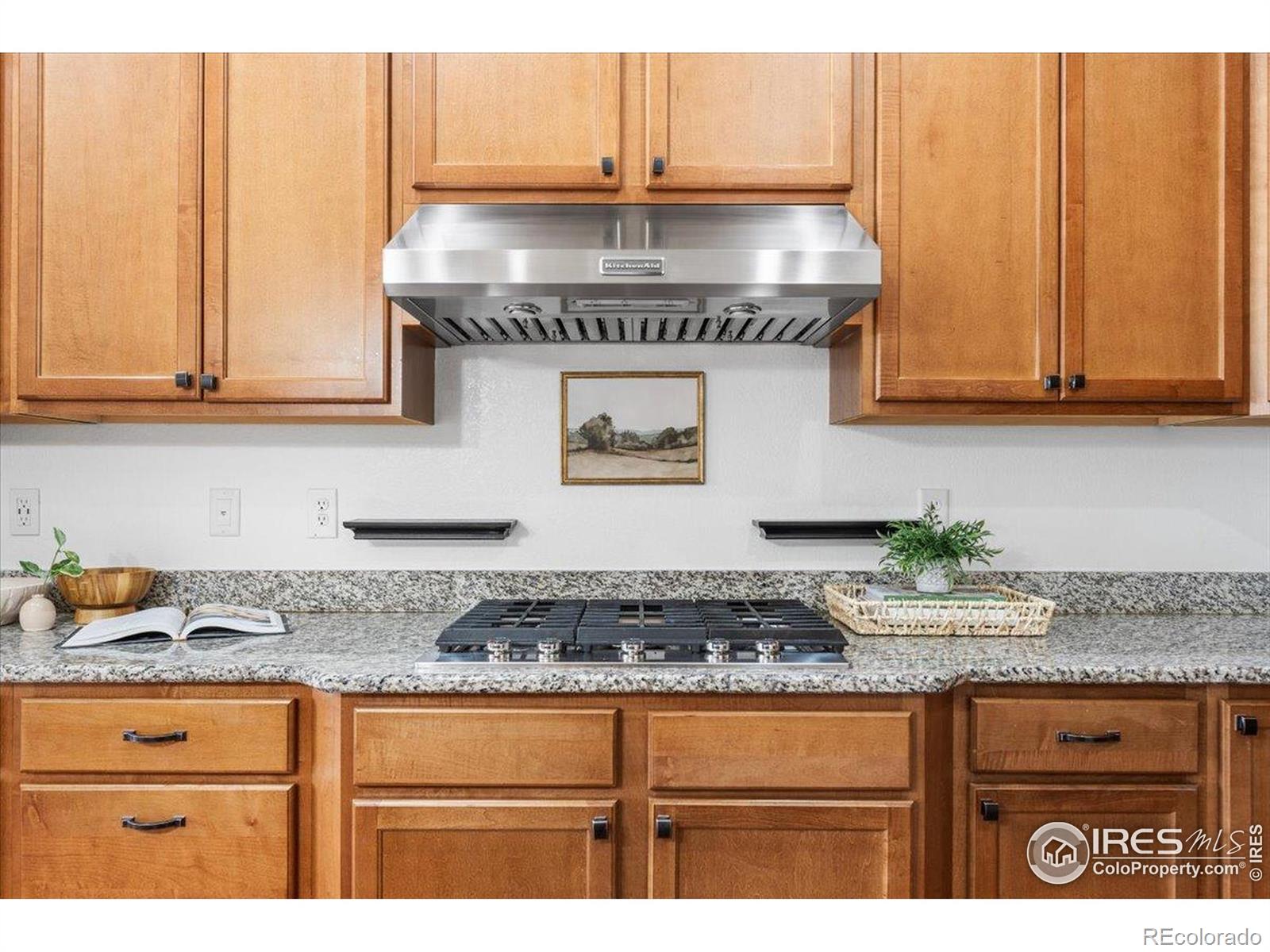 MLS Image #7 for 3050  zephyr road,fort collins, Colorado