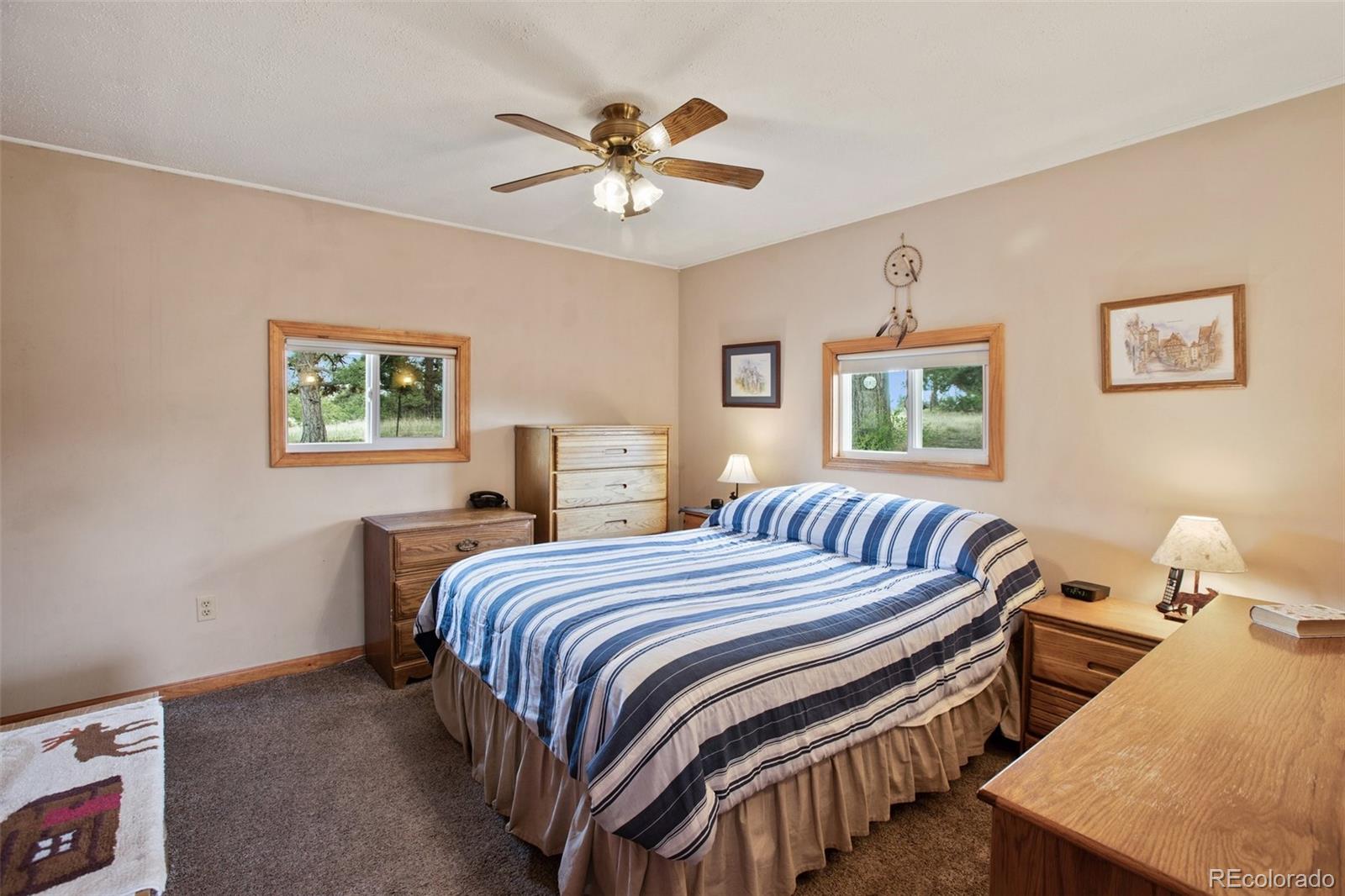 MLS Image #13 for 949  doe valley road,guffey, Colorado