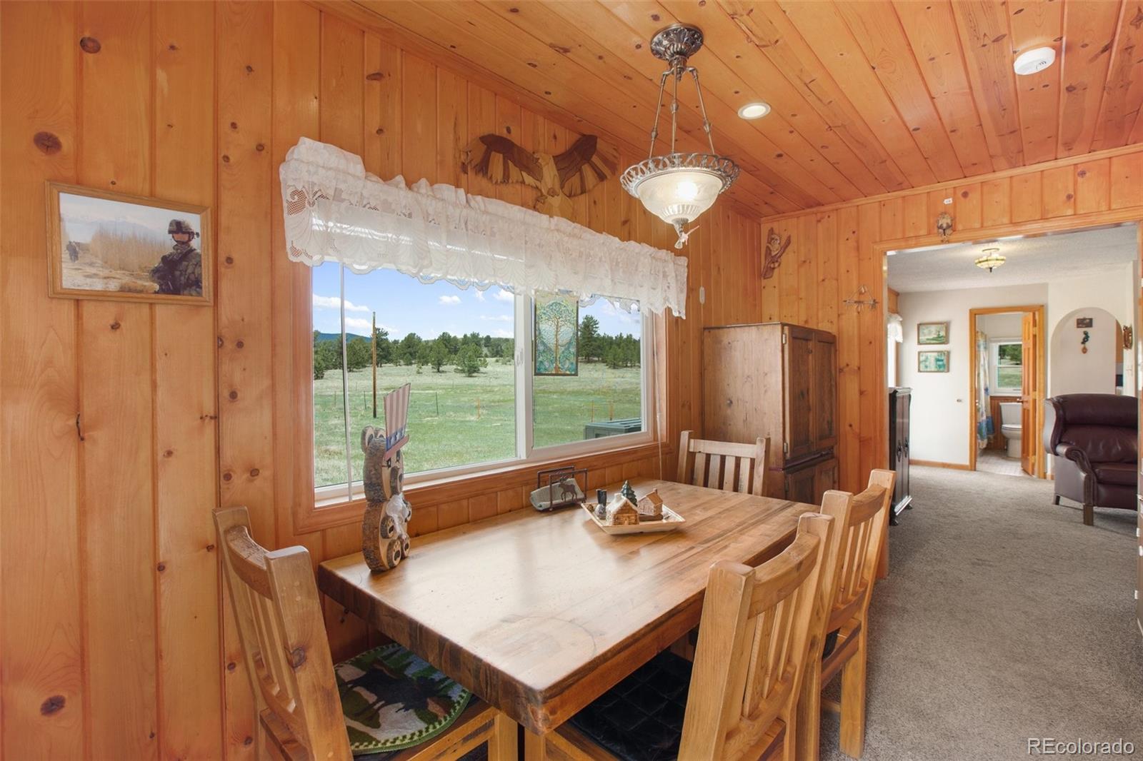 MLS Image #9 for 949  doe valley road,guffey, Colorado